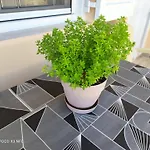 Manousos Apartment *