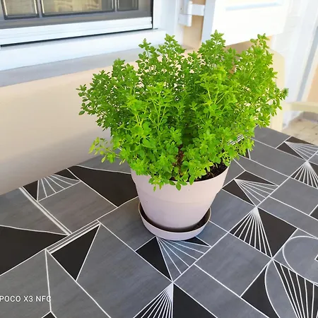 Manousos Apartment *