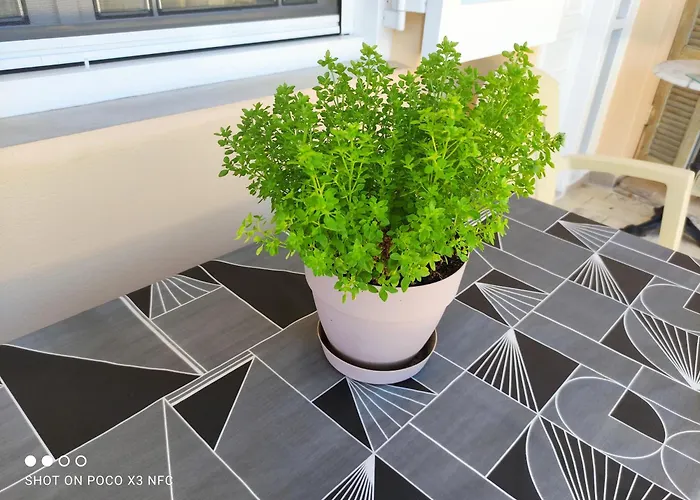 Manousos Διαμέρισμα *